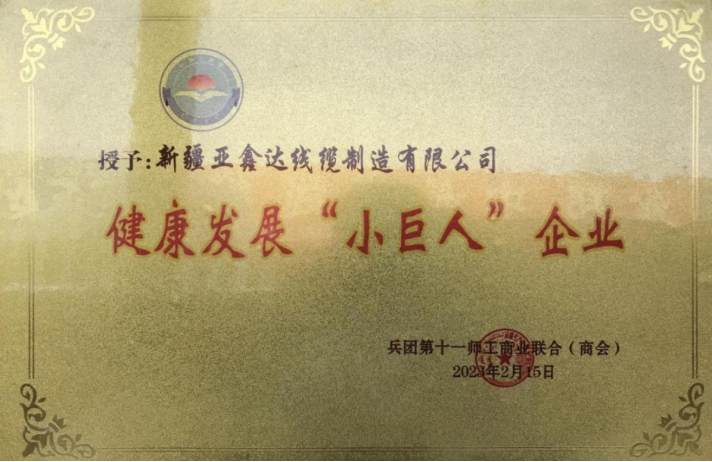 健康发展“小巨人”企业证书